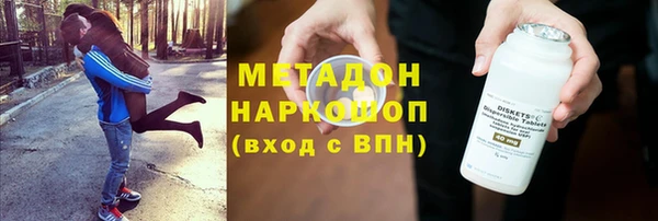 прущие грибы Арсеньев