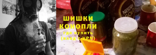 прущие грибы Арсеньев