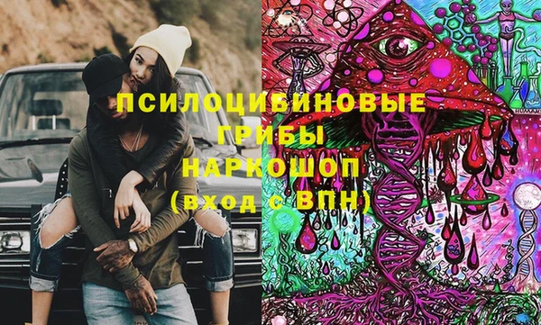сатива Армянск