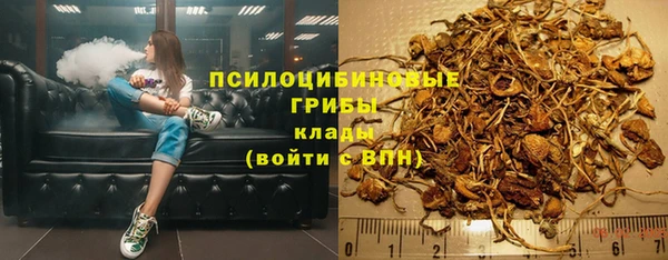 прущие грибы Арсеньев