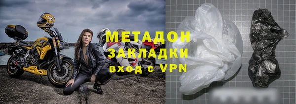 прущие грибы Арсеньев